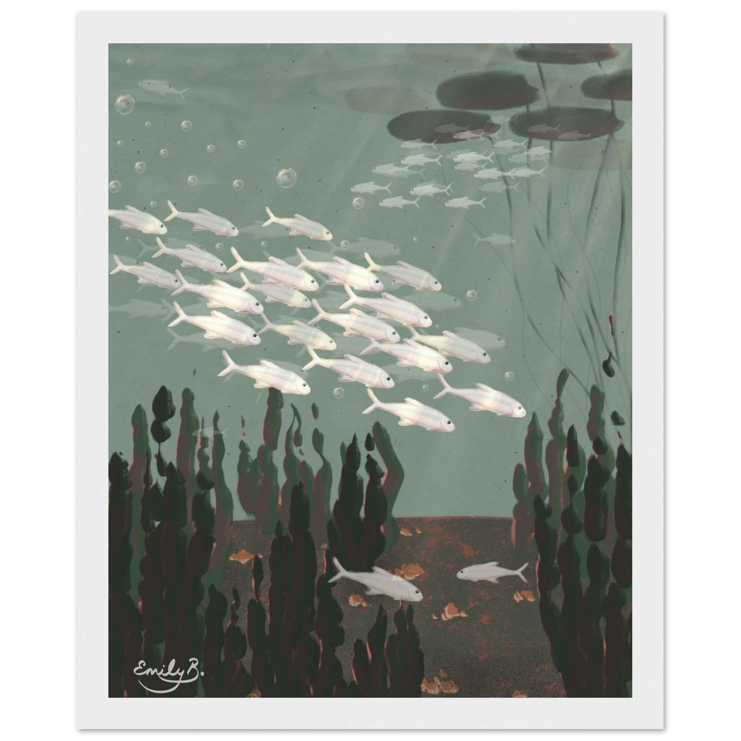 Just the Fish framed art print designed as a companion to Swan Underwater