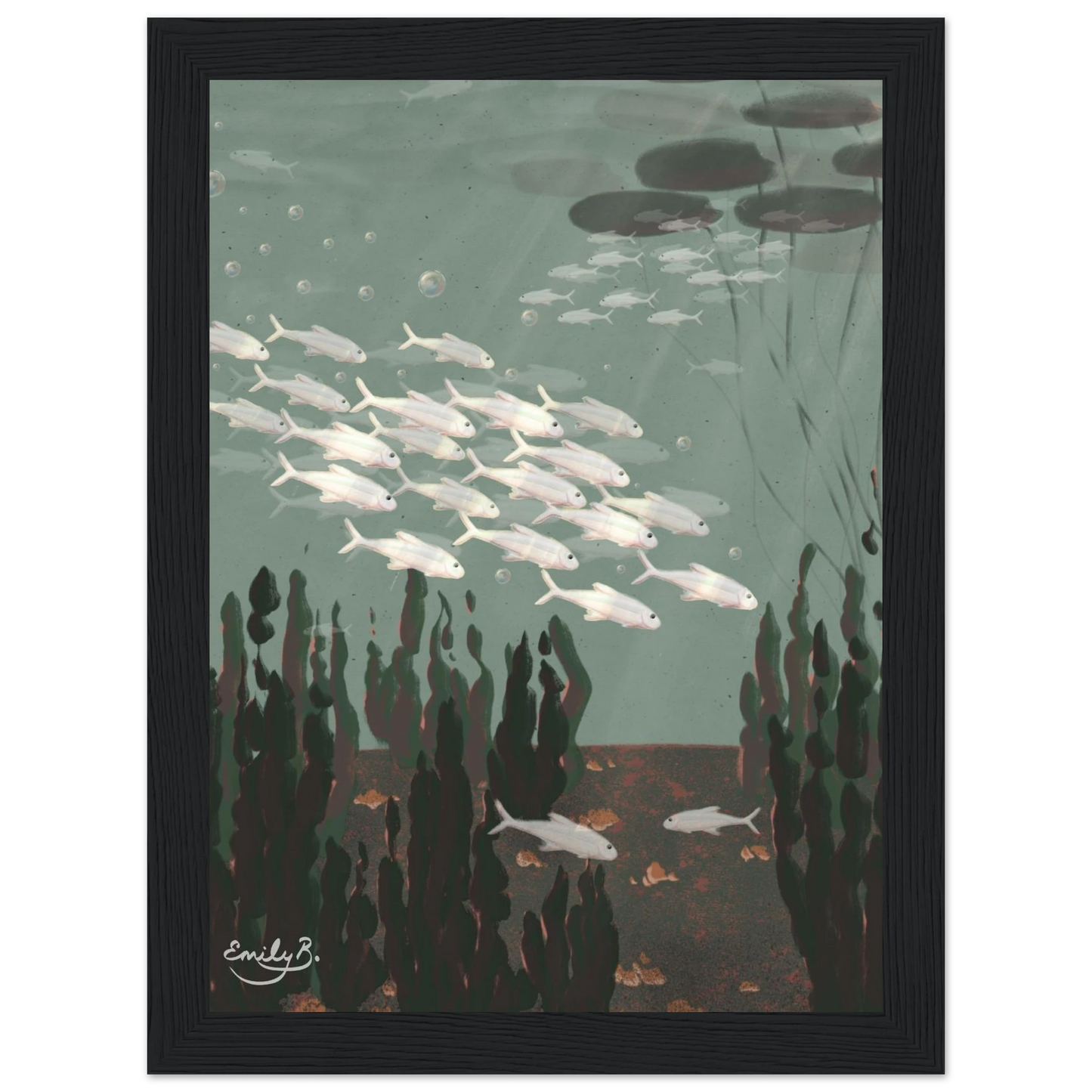 Just the Fish framed wildlife art print featuring a school of fish