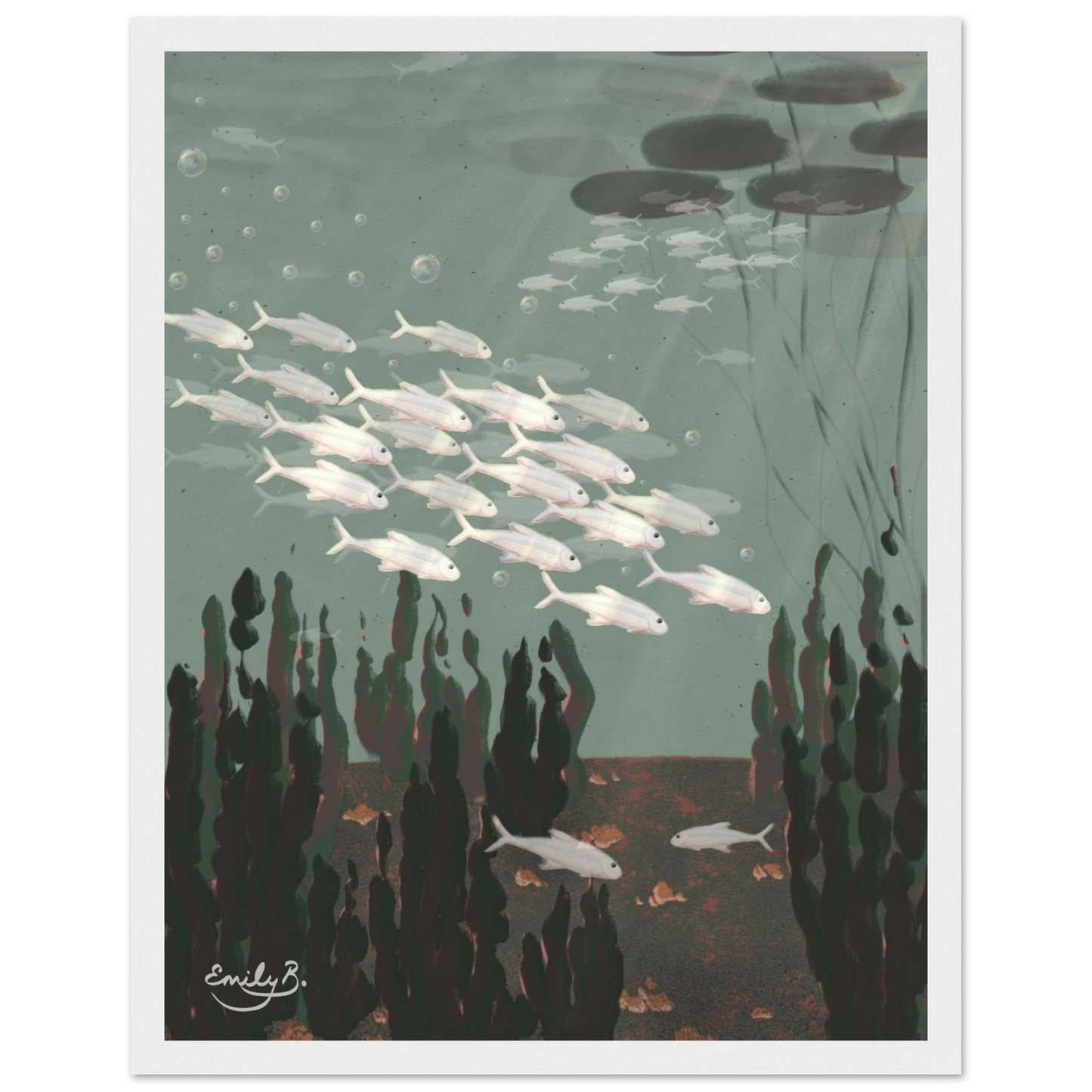 Front view of Just the Fish framed artwork featuring a shoal of silvery white fish underwater