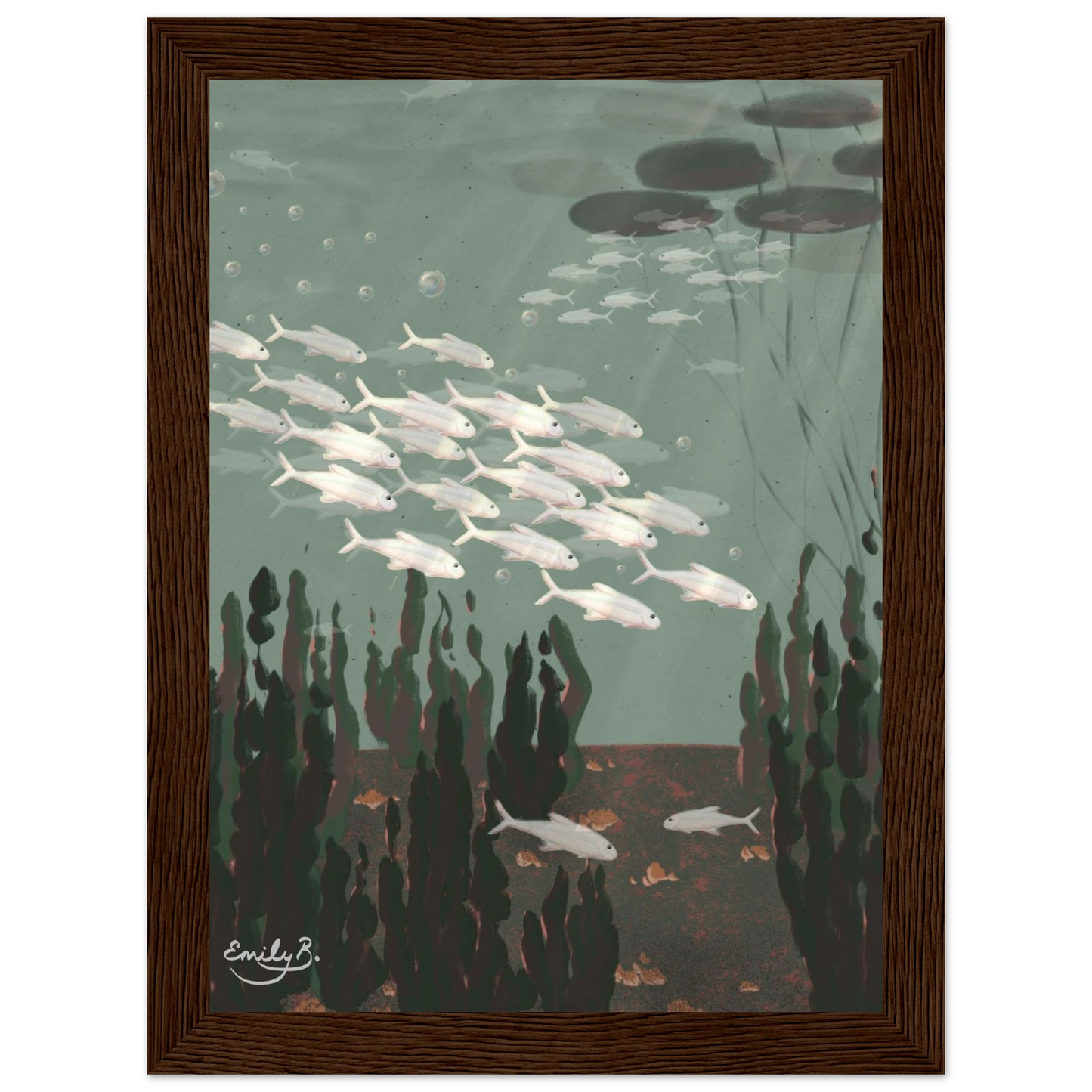 Just the Fish framed artwork featuring a shoal of silvery white fish