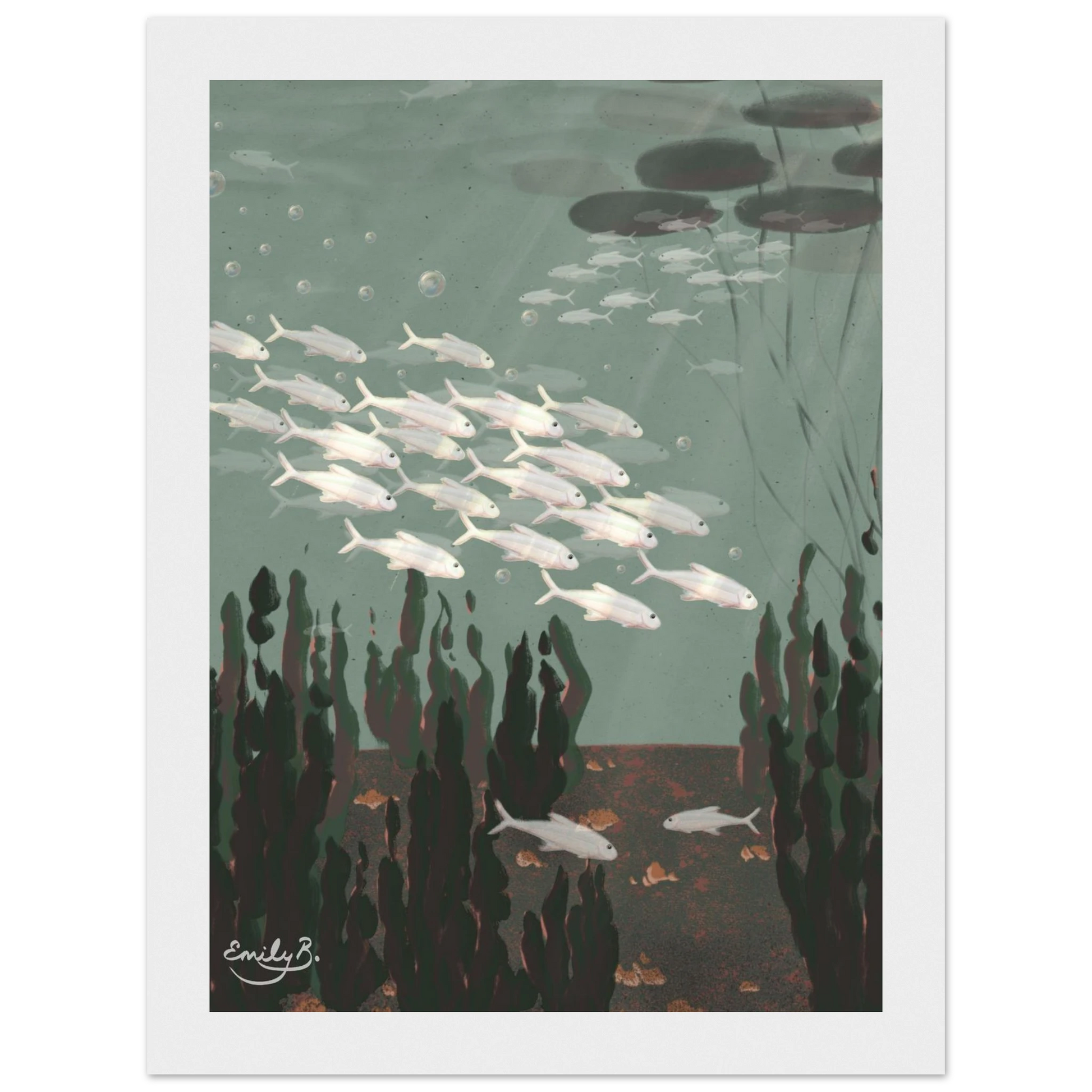 Just the Fish illustrated framed wall art from the Kindred Creatures series