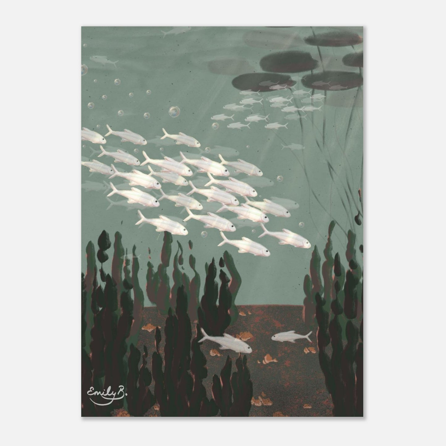 Just the Fish unframed art print front view showing silvery fish swimming beneath lily pads