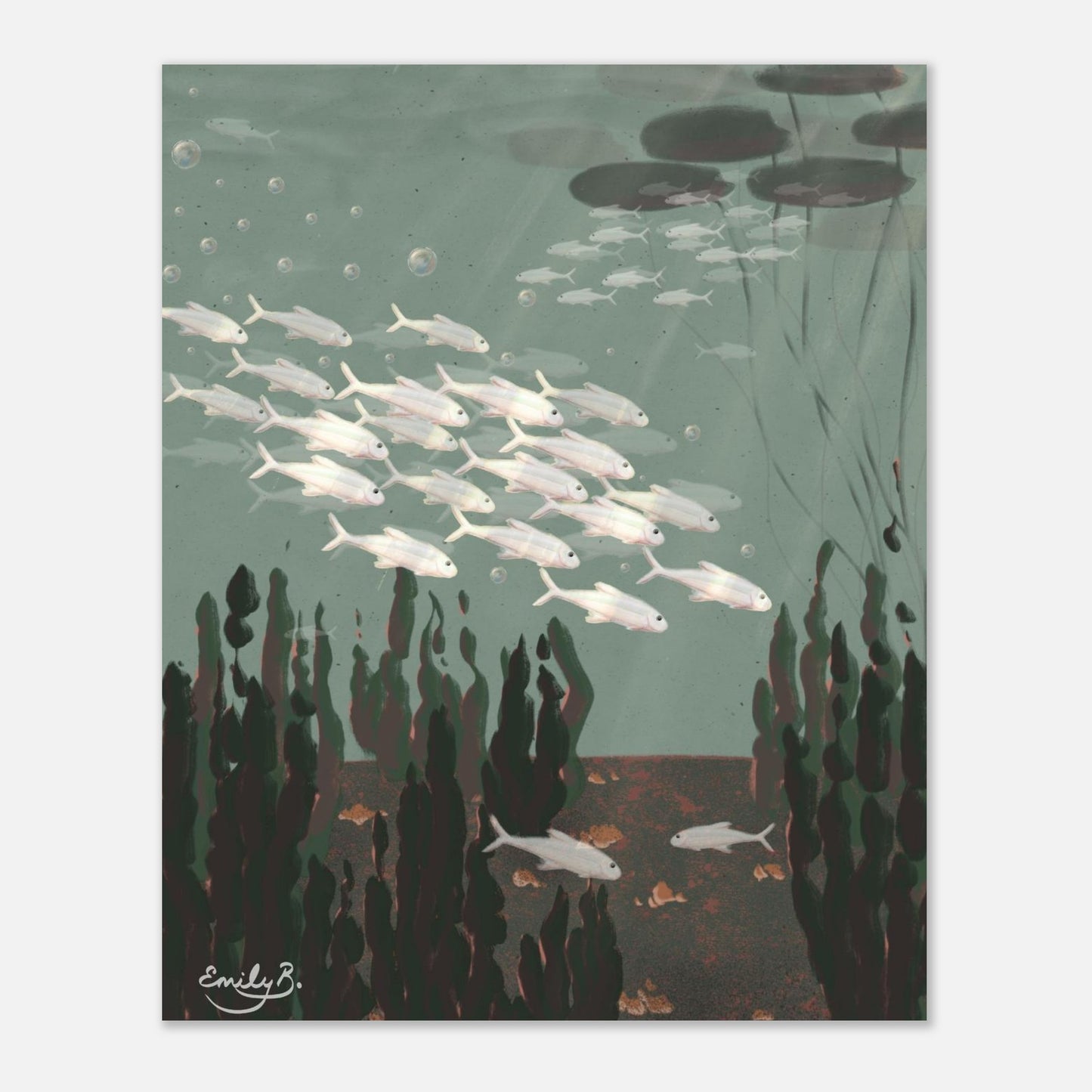 Just the Fish unframed art print front view capturing sun rays breaking through water