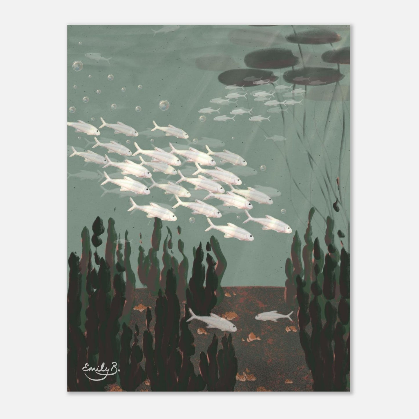 Just the Fish unframed art print front view featuring a shoal of silvery white fish